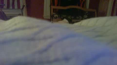 Snapshot of stratocatster chatting on 01-24-25, 02:39 stratocatster online show from 01-24-25, 02:39