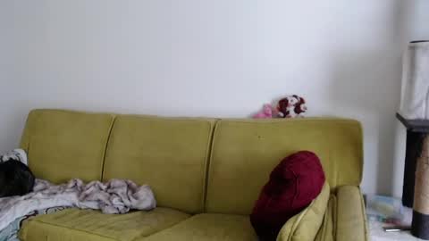 Strawberrylotsacake online show from 05-13-26, 05:32