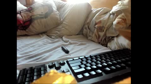 strawboy300 online show from 01-17-25, 07:38