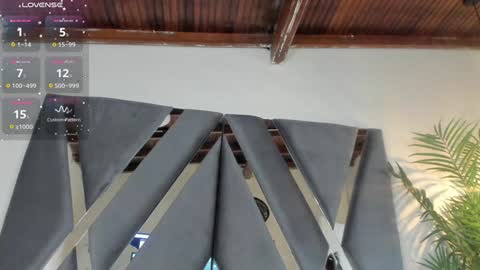 Alexa   online show from 01-31-25, 11:03