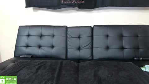 StudioWahines online show from 01-29-25, 10:11