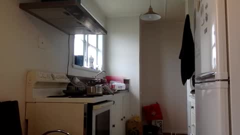 stugo1964 online show from 09-24-25, 03:43