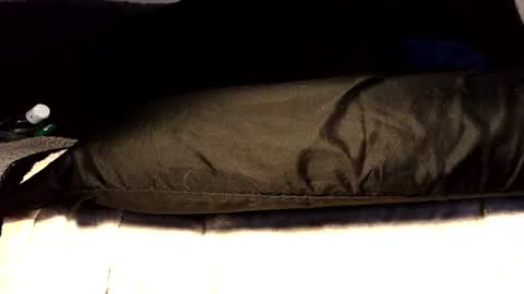 between my legs online show from 06-17-26, 03:35