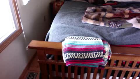 Submitted4u online show from 01-26-25, 05:44