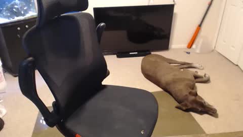 Snapshot of subryan03 chatting on 10-15-25, 02:06 do i have lil tits or pecs online show from 10-15-25, 02:06