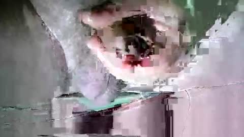 Martin sweetboy online show from 10-20-25, 11:38