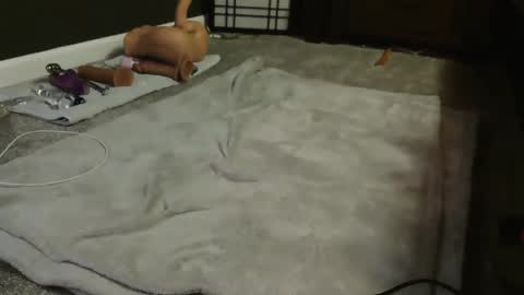 Snapshot of sugacookie69 chatting on 12-09-24, 04:56 Suga cookie online show from 12-09-24, 04:56