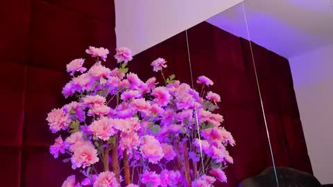 Sugar online show from 09-26-25, 05:11