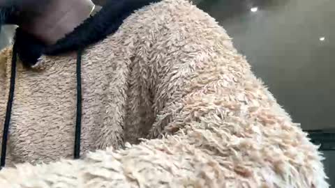 Snapshot of sugarcockydaa chatting on 01-22-25, 10:29 sugarcockydaa online show from 01-22-25, 10:29