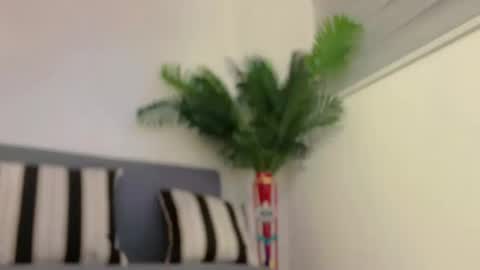 Jess online show from 02-07-25, 07:29