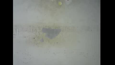 Snapshot of sugarmeltsxx chatting on 11-09-25, 05:44 Bella online show from 11-09-25, 05:44