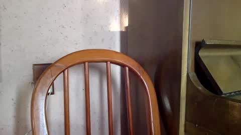 Sumjang and Luksmen online show from 02-16-25, 08:33