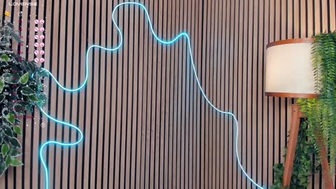 Nelly online show from 01-28-25, 12:57