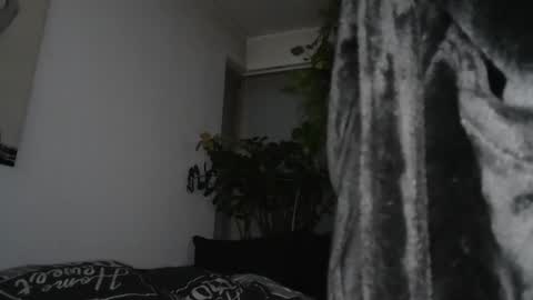 s online show from 12-17-24, 07:59