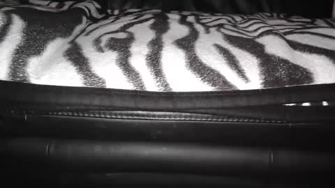 s online show from 12-24-24, 09:11