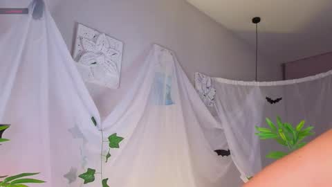 Becky online show from 11-01-25, 01:18