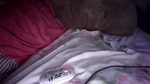 sunnkissed slick online show from 09-09-25, 07:41