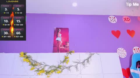      online show from 02-15-25, 08:54