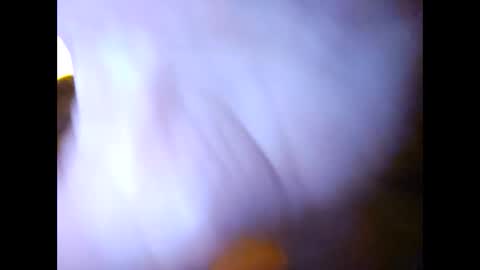 Snapshot of suntroll chatting on 02-07-25, 11:01 Suntroll online show from 02-07-25, 11:01