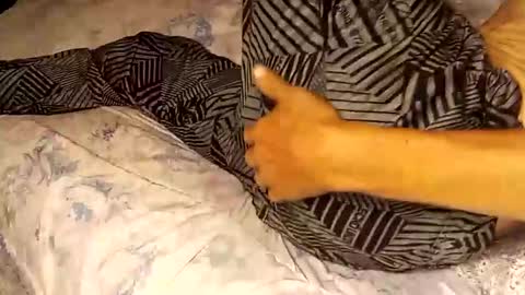 superdavedetailzz2025 online show from 09-19-25, 06:37