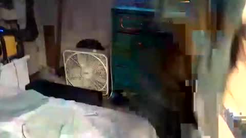 superdavedetailzz2025 online show from 10-28-25, 11:03