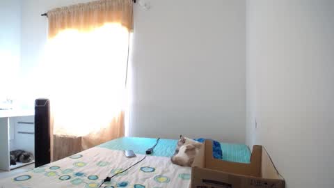 Susana online show from 02-09-25, 06:37