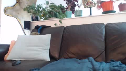 Otto online show from 03-11-25, 10:42