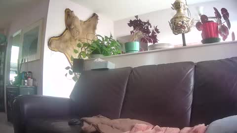 Otto online show from 10-07-25, 09:56