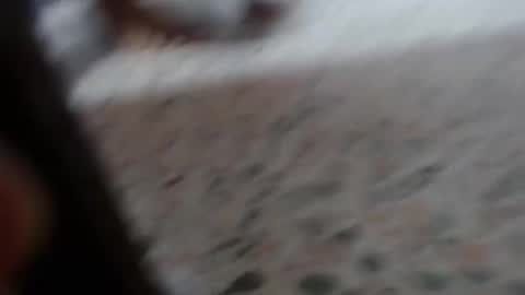 Suxxxy online show from 01-29-25, 03:04