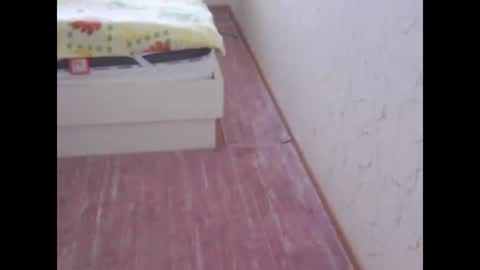 Snapshot of sv27 chatting on 02-13-25, 11:17 sv27 online show from 02-13-25, 11:17