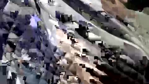 Snapshot of svedkajlo chatting on 03-01-25, 04:04 Bubblebunnyjlo online show from 03-01-25, 04:04