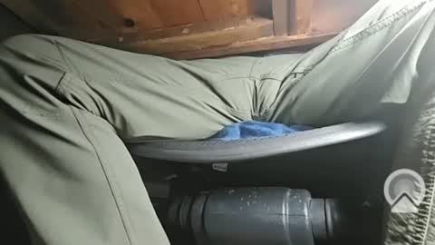 swamp486822 online show from 02-05-25, 06:13