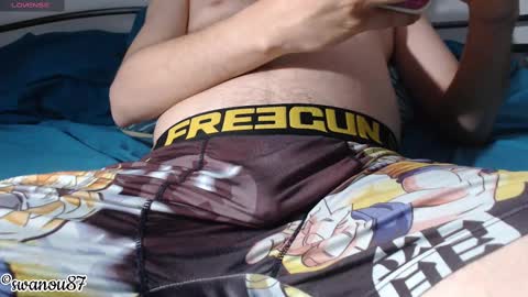 swanou87 online show from 02-19-25, 11:57