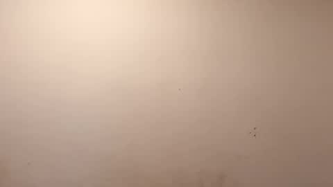 sweaterboy666 online show from 03-10-26, 11:37