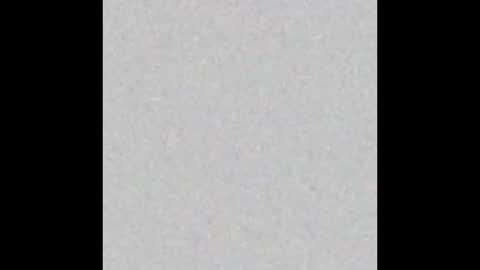 Eva and Tim online show from 10-26-25, 06:03