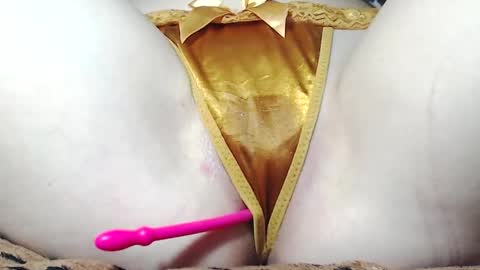 Kitten online show from 05-16-26, 07:27