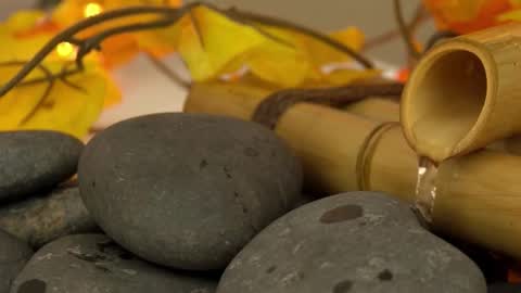 Sandra online show from 10-26-25, 01:28