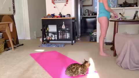 Snapshot of sweet_truffle chatting on 10-07-25, 01:19 Heidi Brenner - Please check bio for schedule  FAQ online show from 10-07-25, 01:19