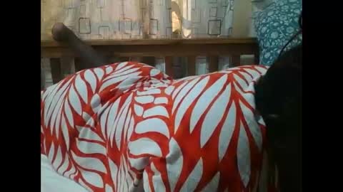 Snapshot of sweetblacklady chatting on 11-25-25, 07:08 MELVIN online show from 11-25-25, 07:08