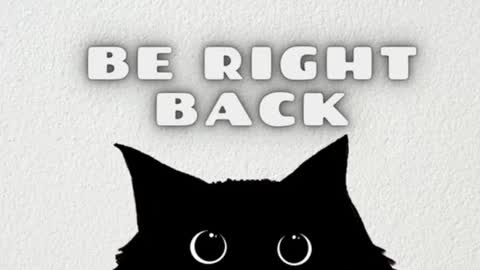       Independent model online show from 12-25-24, 07:35