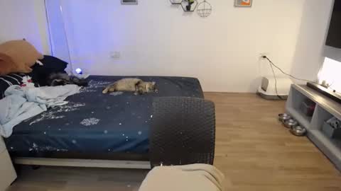 angel 3 online show from 01-21-25, 04:48