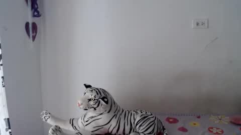 Snapshot of sweetgirsl chatting on 04-29-26, 07:20 sweetgirsl online show from 04-29-26, 07:20