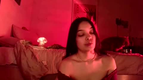 Blu Sweets online show from 12-17-24, 04:56