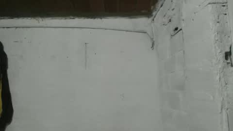 Camilo online show from 03-01-26, 10:28