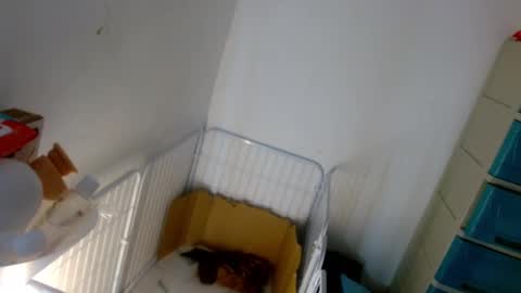 Lilly online show from 01-07-25, 05:20