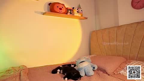 Venus online show from 03-17-26, 07:17