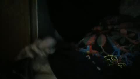 sweetpussylicks online show from 12-29-24, 08:55