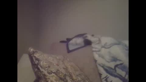 Snapshot of sweetsforu326 chatting on 01-26-25, 01:41 sweetbrowneyes623 online show from 01-26-25, 01:41