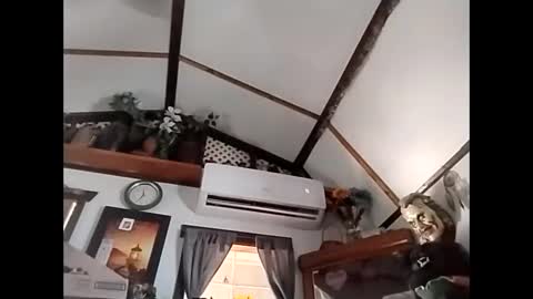 Snapshot of sweetsugar64 chatting on 02-03-26, 04:23 sweetsugar64 online show from 02-03-26, 04:23