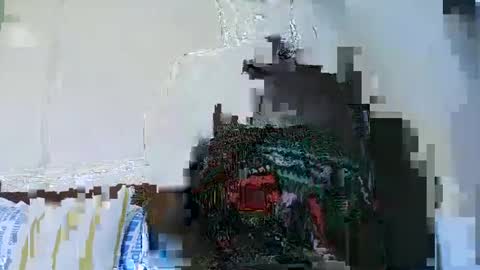 Cute vixen online show from 12-05-24, 12:44